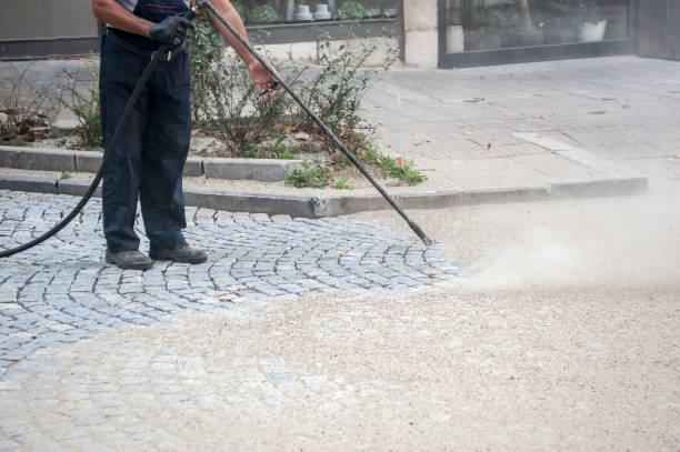 Best House Exterior Washing  in Perry, MI