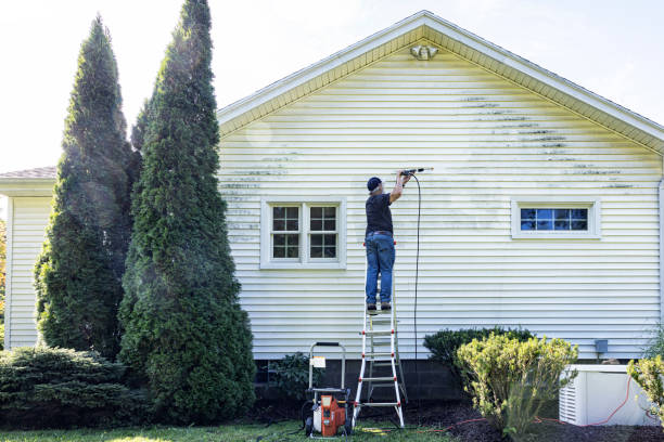 Best Gutter Cleaning  in Perry, MI